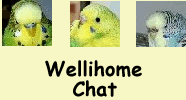 Wellihome-Chat