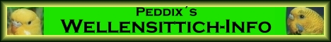 Peddix Wellensittich-Info